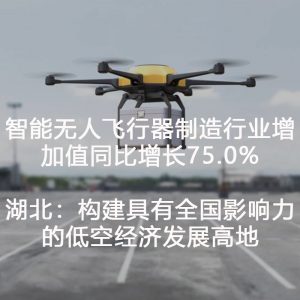 智能无人飞行器制造行业增加值同比增长75.0%;湖北:构建具有全国影响力的低空经济发展高地 智能无人飞行器制造行业增加值同比增长75.0%;湖北:构建具有全国影响力的低空经济发展高地