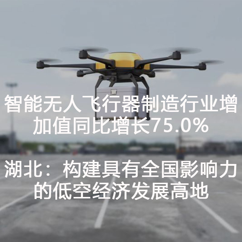 智能无人飞行器制造行业增加值同比增长75.0%；湖北：构建具有全国影响力的低空经济发展高地